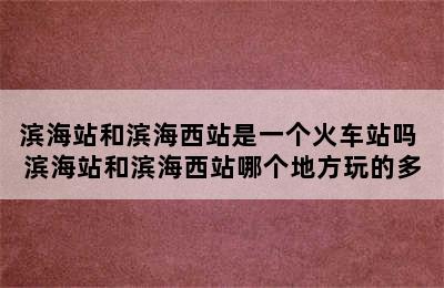 滨海站和滨海西站是一个火车站吗 滨海站和滨海西站哪个地方玩的多